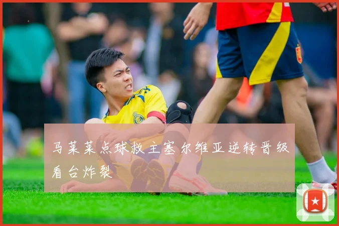 马莱莱点球救主塞尔维亚逆转晋级看台炸裂