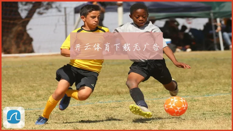 开云体育下载无广告