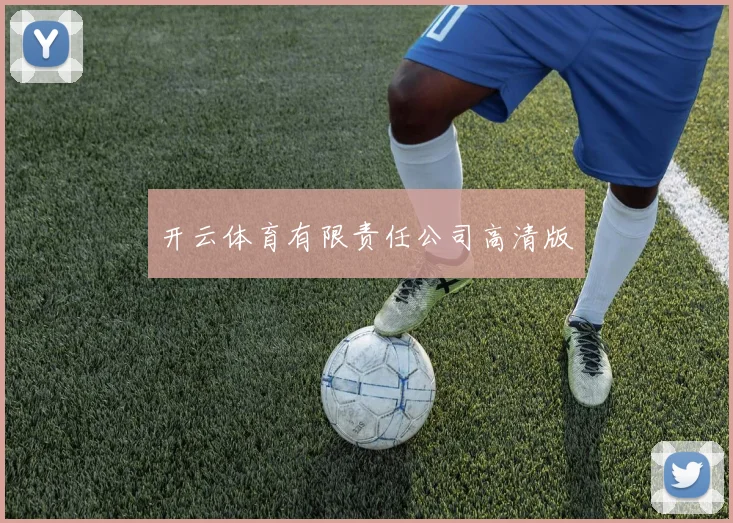 开云体育有限责任公司高清版