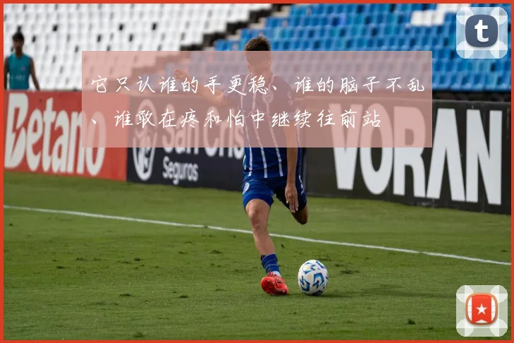 它只认谁的手更稳、谁的脑子不乱、谁敢在疼和怕中继续往前站