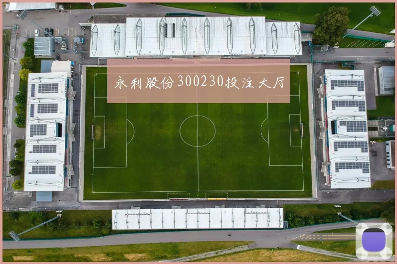 永利股份300230投注大厅