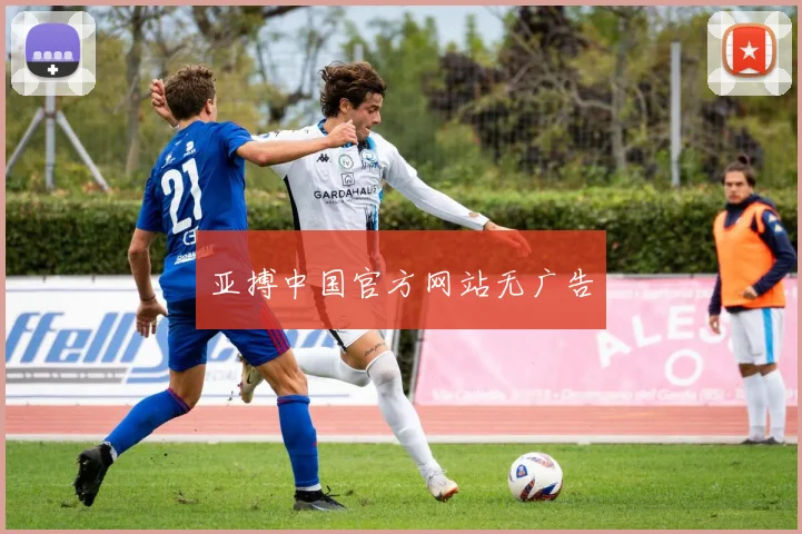 亚搏中国官方网站无广告