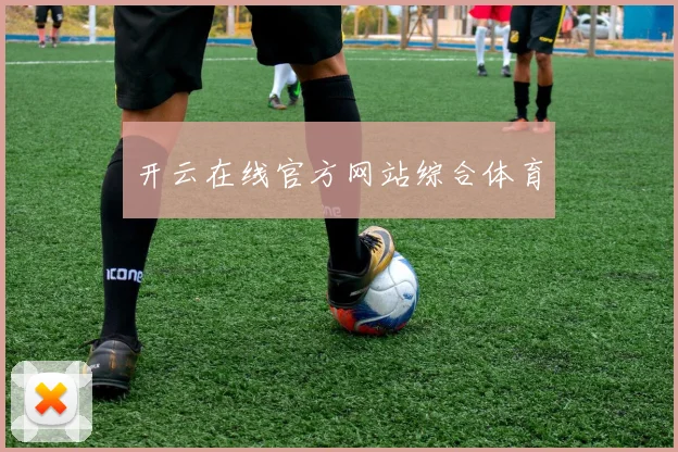开云在线官方网站综合体育