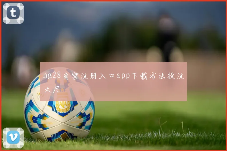ng28南宫注册入口app下载方法投注大厅