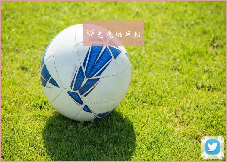 88老虎机网址