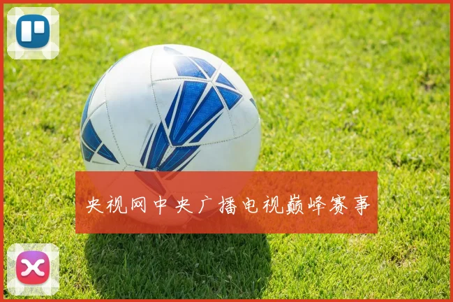 央视网中央广播电视巅峰赛事