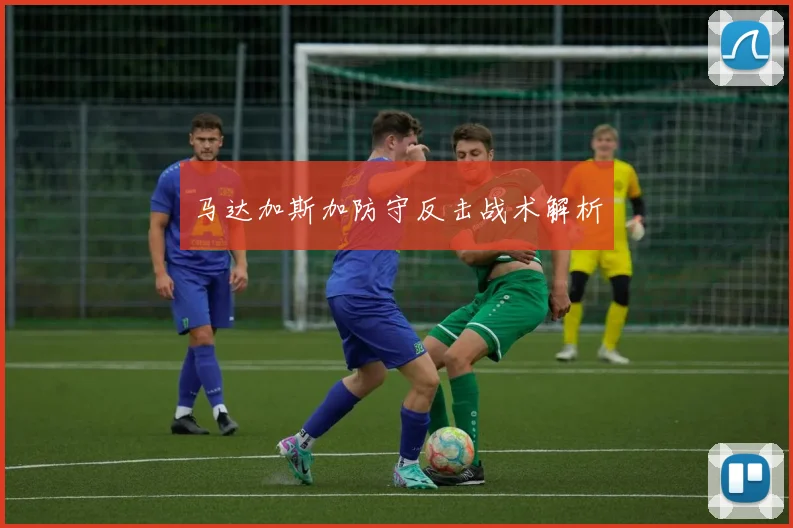 马达加斯加防守反击战术解析