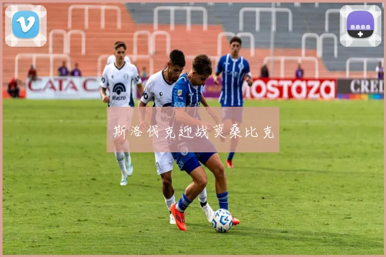 斯洛伐克迎战莫桑比克
