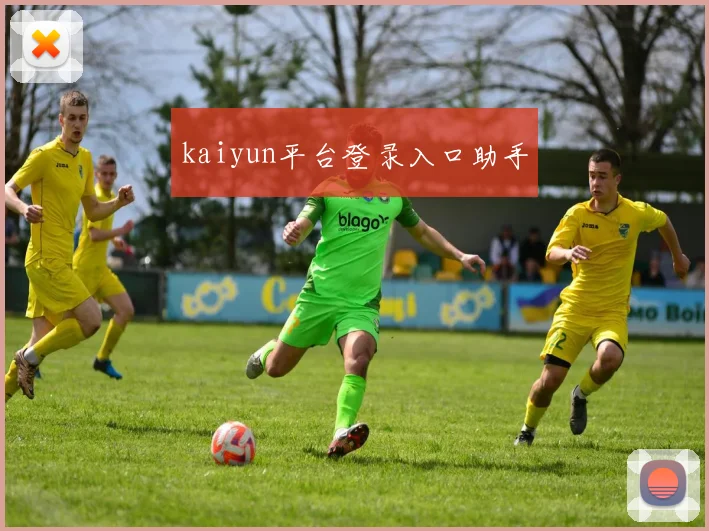 kaiyun平台登录入口助手