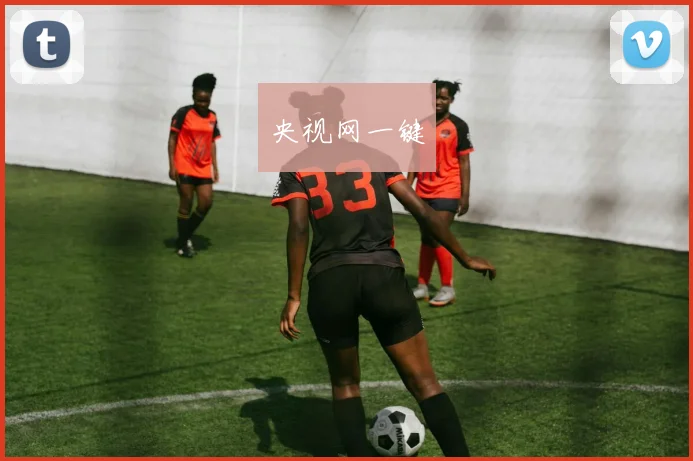 央视网一键