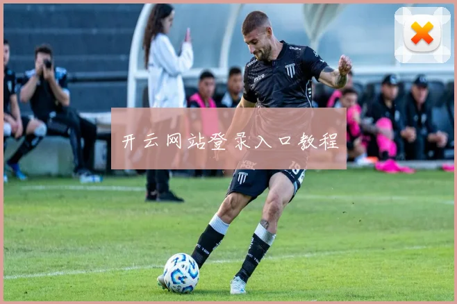 开云网站登录入口教程