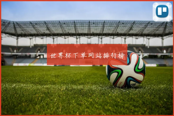世界杯下单网站排行榜