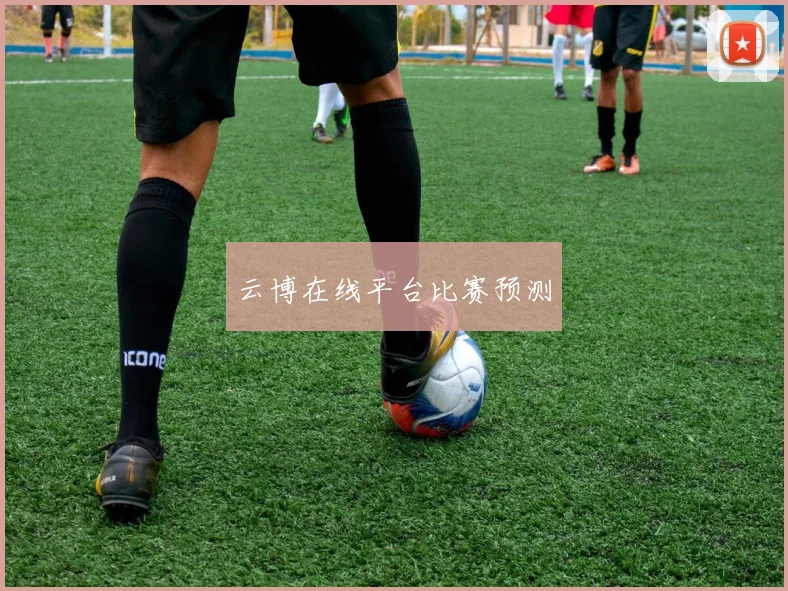 云博在线平台比赛预测