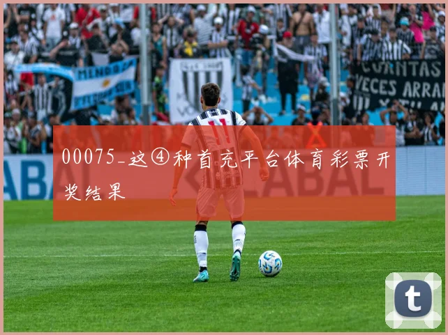 00075_这④种首充平台体育彩票开奖结果
