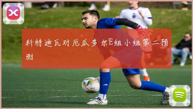 科特迪瓦对厄瓜多尔E组小组第二预测