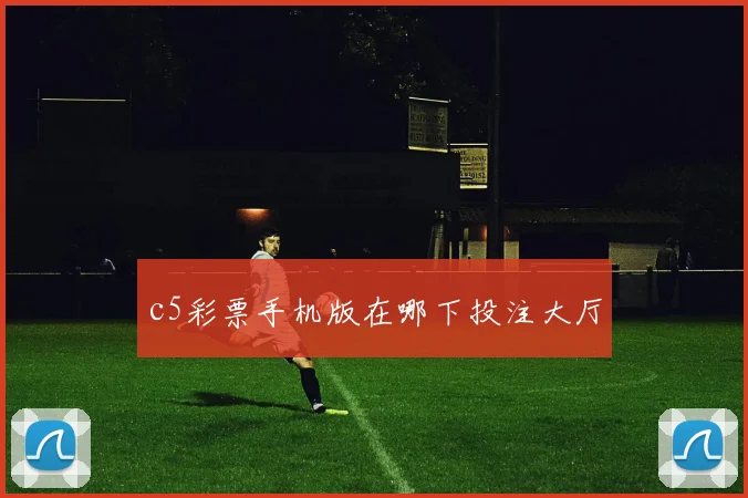 c5彩票手机版在哪下投注大厅