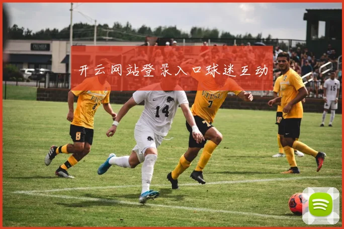 开云网站登录入口球迷互动