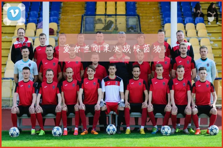爱尔兰刚果决战绿茵场
