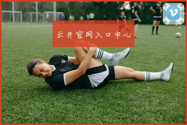 云开官网入口中心