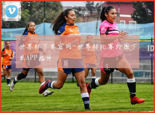 世界杯下单官网-世界杯比赛外围下单APP插件