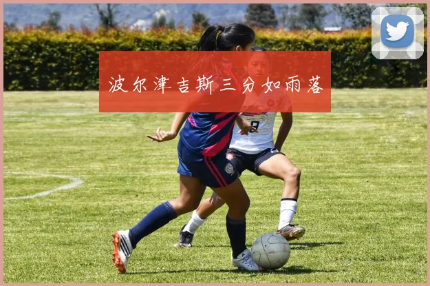 波尔津吉斯三分如雨落