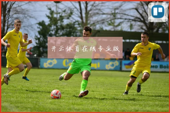 开云体育在线专业版