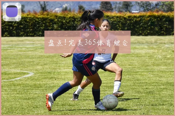 盘点!完美365体育综合