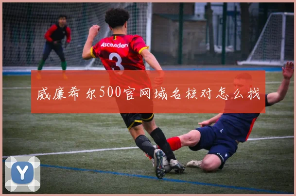 威廉希尔500官网域名核对怎么找