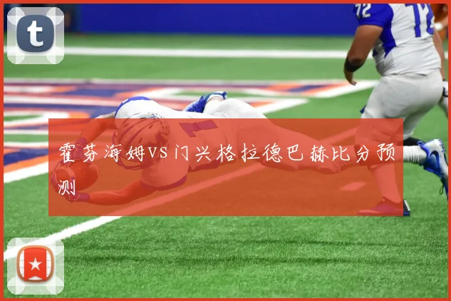 霍芬海姆vs门兴格拉德巴赫比分预测